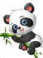 Pandaman66