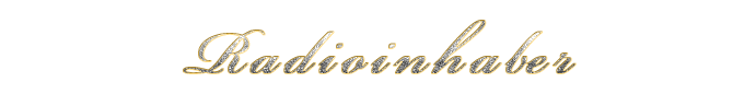 Radioleitung